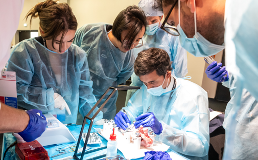 dental implant courses